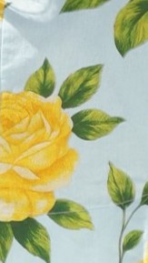 Alma Shorts - Lemon/Aqua Floral