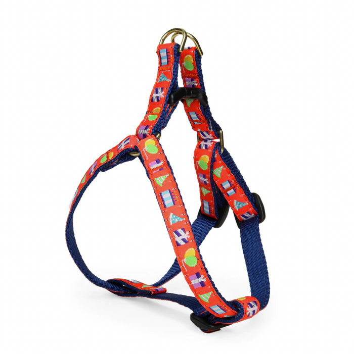 Birthday Gift Dog Leash