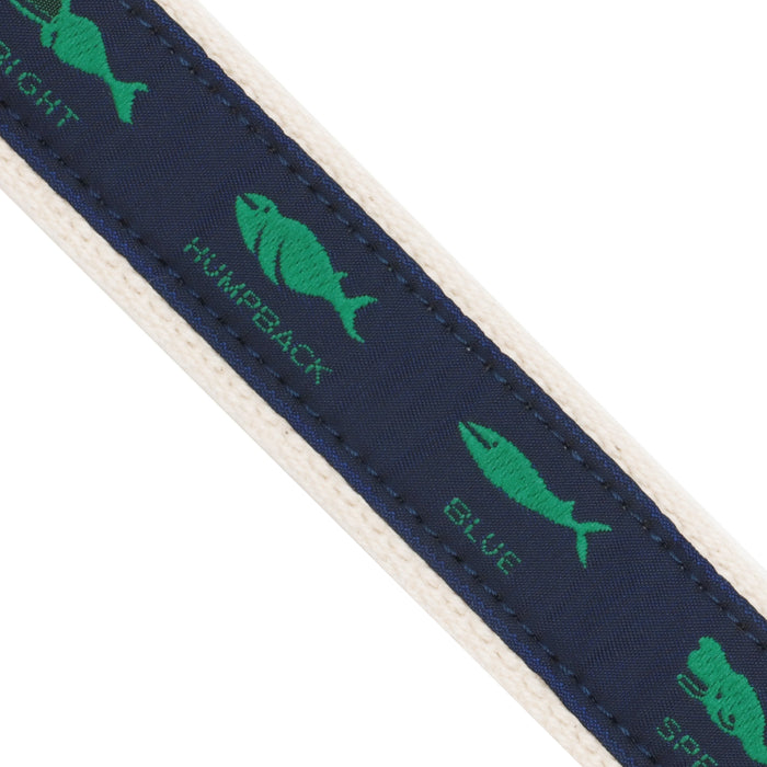 Webbed Whales Belt