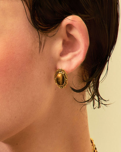 Tiger's Eye Savannah Studs Earrings