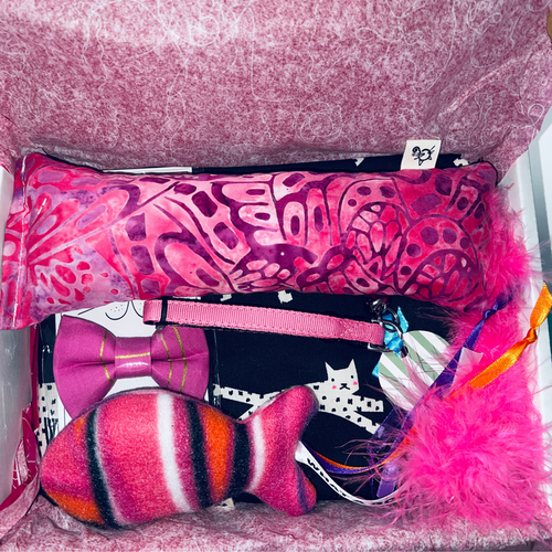 5 Piece Pretty and Pink Cat Gift Box with 19 x 17 Catnip Mat