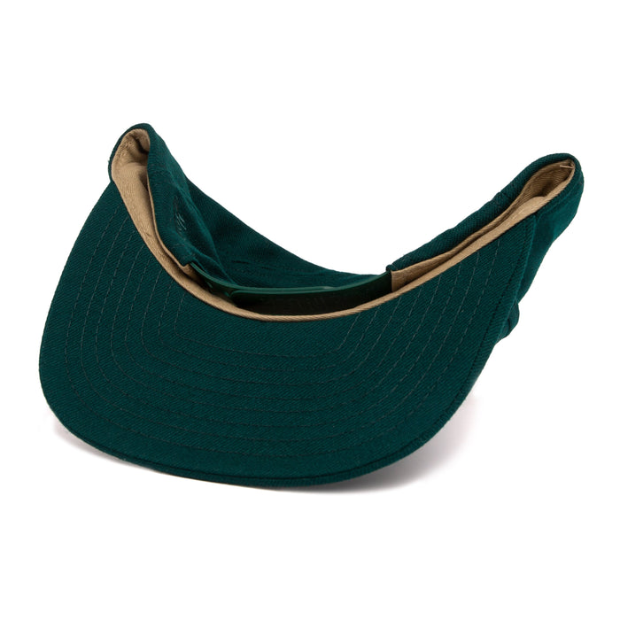 Aspen Snapback Hat