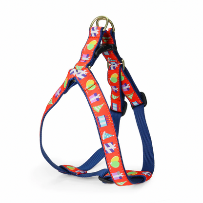 Birthday Gift Dog Leash