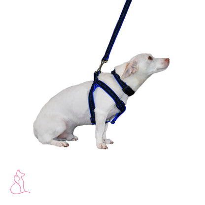 Blue Stars Dog Harness (Black)