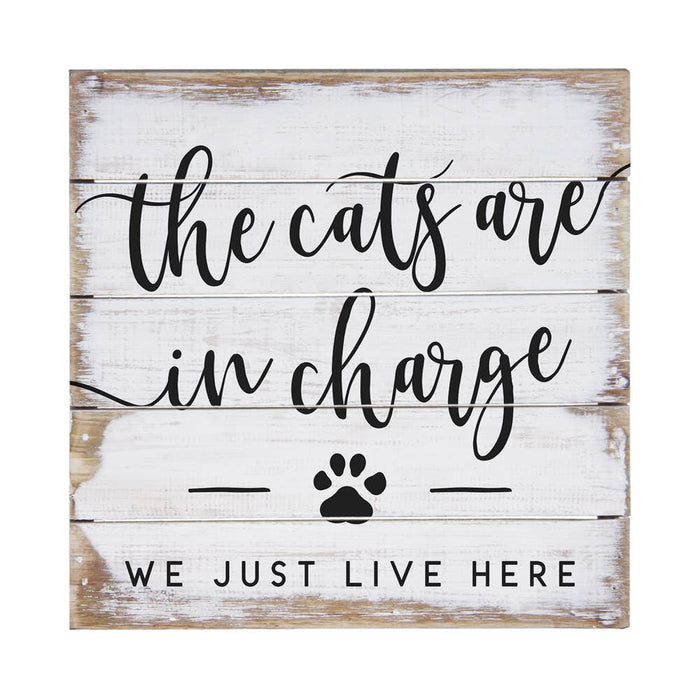 Cats In Charge