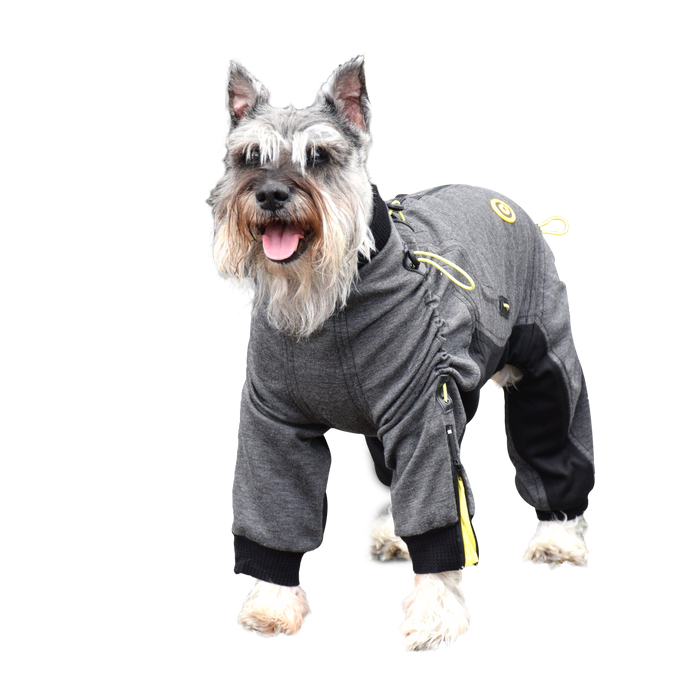 Cozy Dog Body Suit