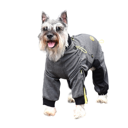 Cozy Dog Body Suit