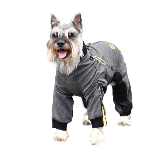 Cozy Dog Body Suit