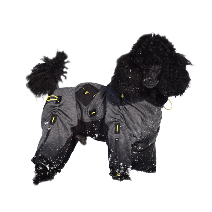 Cozy Dog Body Suit