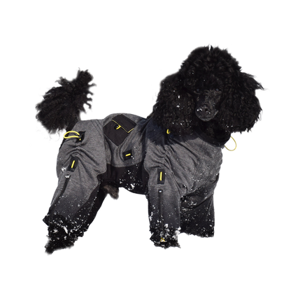 Cozy Dog Body Suit