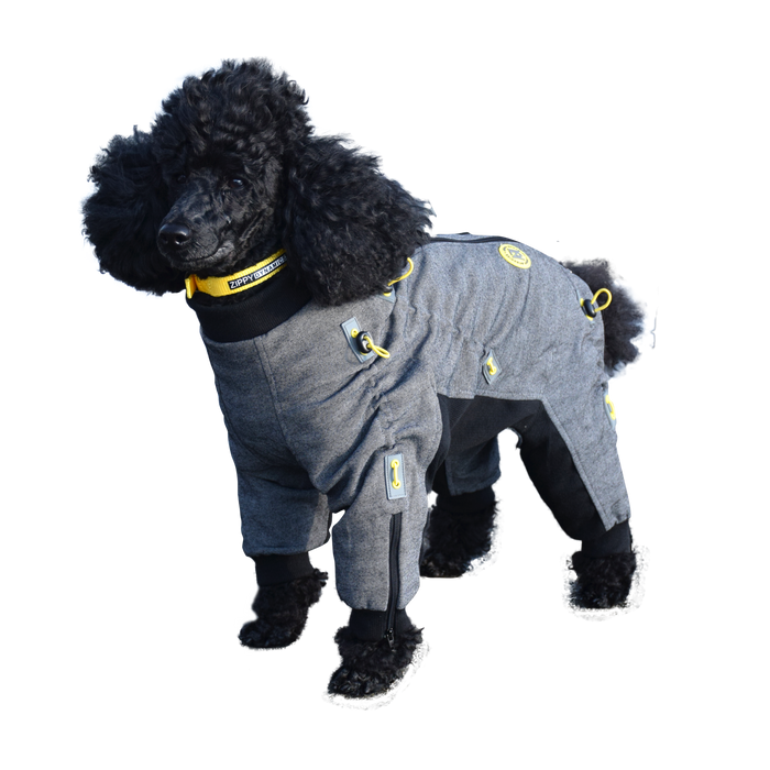 Cozy Dog Body Suit