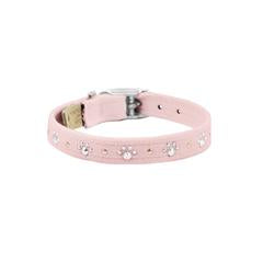 Puppy Pink