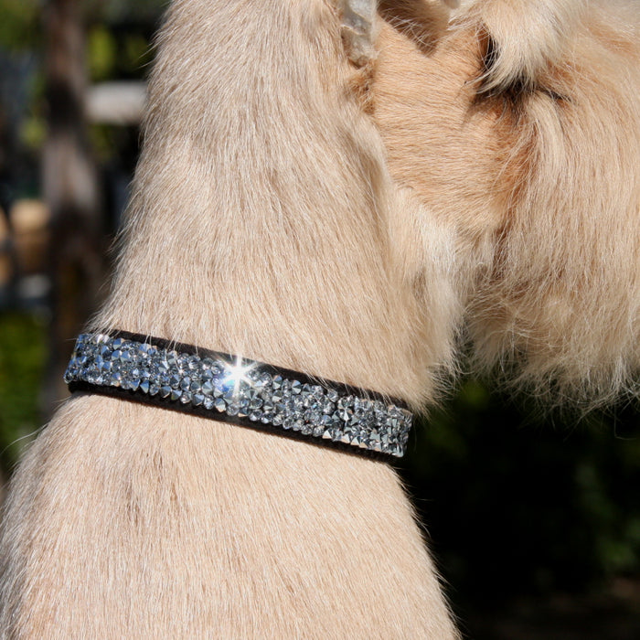 Crystal Rocks 1/2" Dog Collar