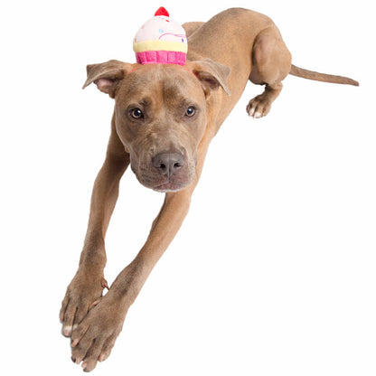 Cupcake Hat for Small or medium Dogs
