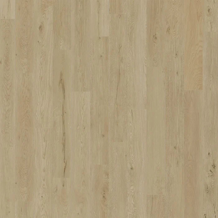 Engineered Floors - Pure Grain - American Standard - Seaside