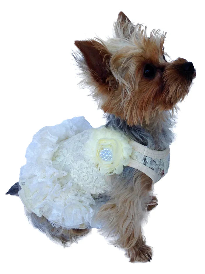 Garden Party Tutu Dress (Color Options)