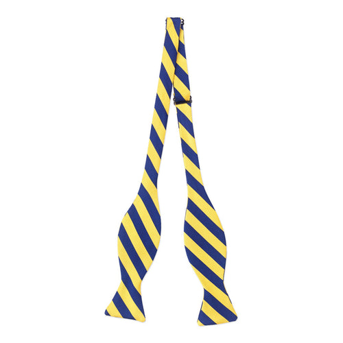 Gold And Navy Bow Tie