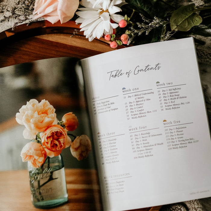More Than Anything Bible Study
