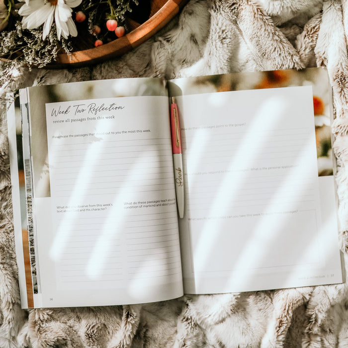 More Than Anything Bible Study