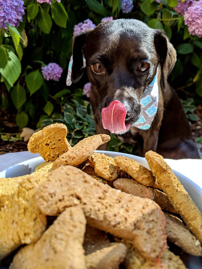 Peanut Butter Dog Treats (Sale)