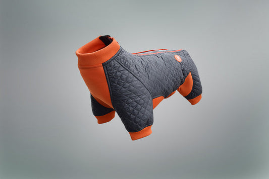 Springy Dog Body Suit
