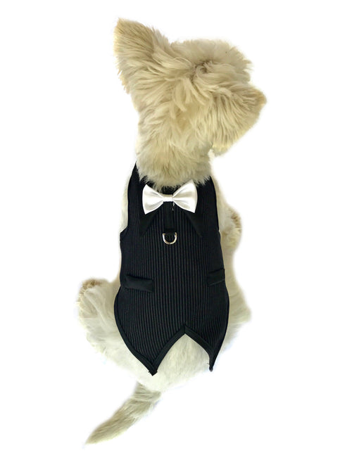 The Dog Father Pinstriped Tuxedo