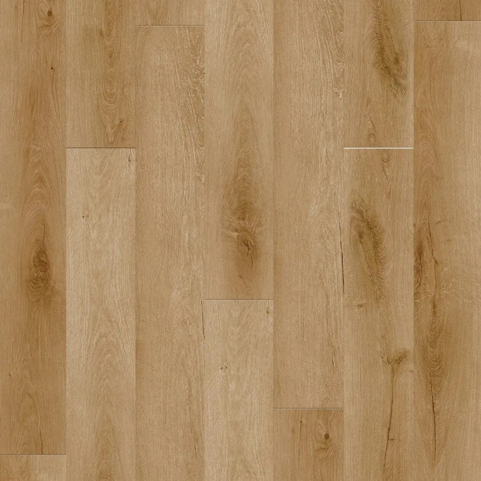 Triumph by Engineered Floors - New Standard Plus - Cancun